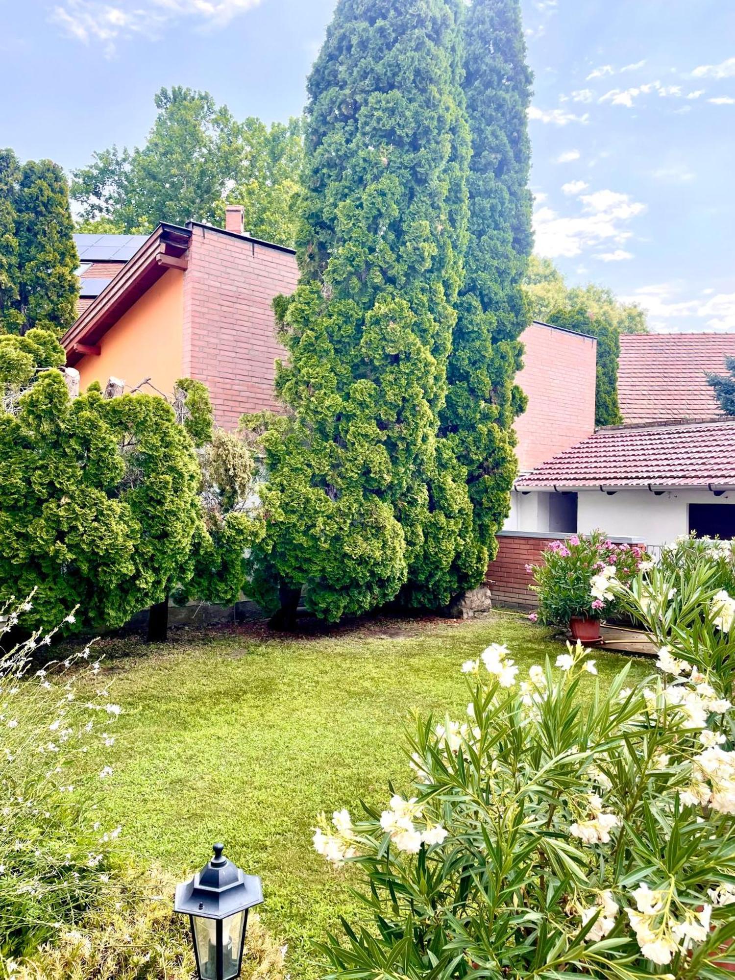 Barat Vendeghaz - Cosy Guesthouse - Teljes Haz Privat Udvarral - 4 Szoba, 2 Fuerdo Segedyn Zewnętrze zdjęcie